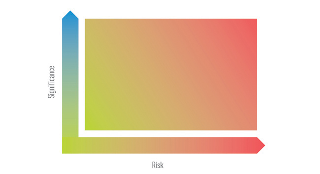 Selecting High-Significance, High-Risk Issues